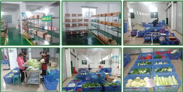 煜鮮農副產品配送 從田間到餐桌，守護您的每一餐新鮮
