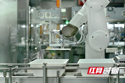 搶占智高點 智能制造驅動寧鄉經開區高質量發展，智能機器人研發成引擎